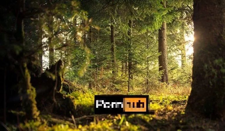 免费a级毛片无码a:微桌面最新版,探索微桌面的最新更新，免费A级毛片无码