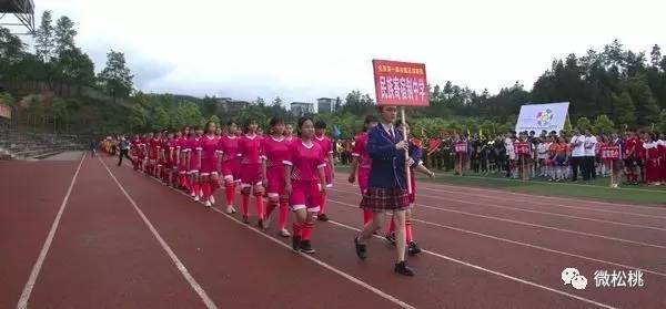 在线观看免费人成视频:松桃最新消息,在线观看免费成人视频，探索松桃的最新消息