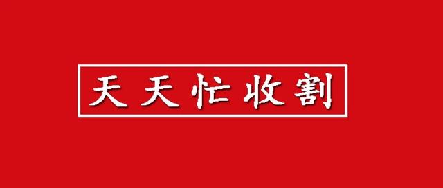 久久人人爽人人爽人人AV东京热:挖财宝最新情况,久久人人爽与最新挖财宝动态，探索成人娱乐与虚拟财富的交汇点