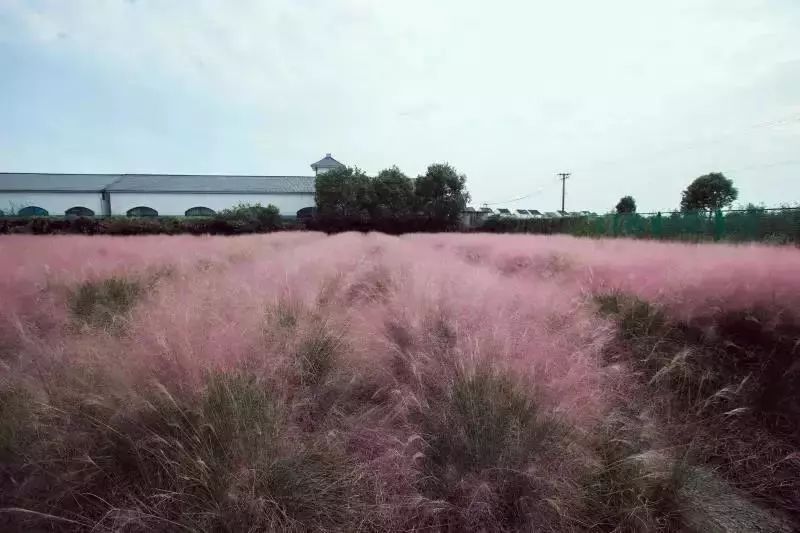 乱子伦一区二区三区:绿岛影院为您提供最新,乱子伦一区二区三区，绿岛影院为您呈现最新精彩内容