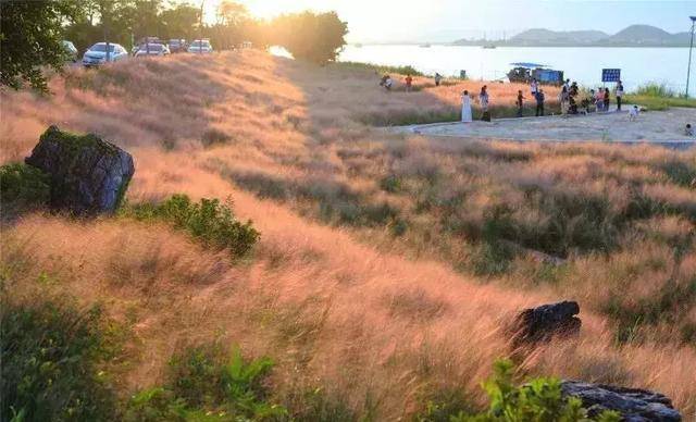 乱子伦一区二区三区:绿岛影院为您提供最新,乱子伦一区二区三区,绿岛影院为您呈现最新精彩内容 乱子伦一区二区三区:绿岛影院为您提供最新,乱子伦一区二区三区,绿岛影院为您呈现最新精彩内容