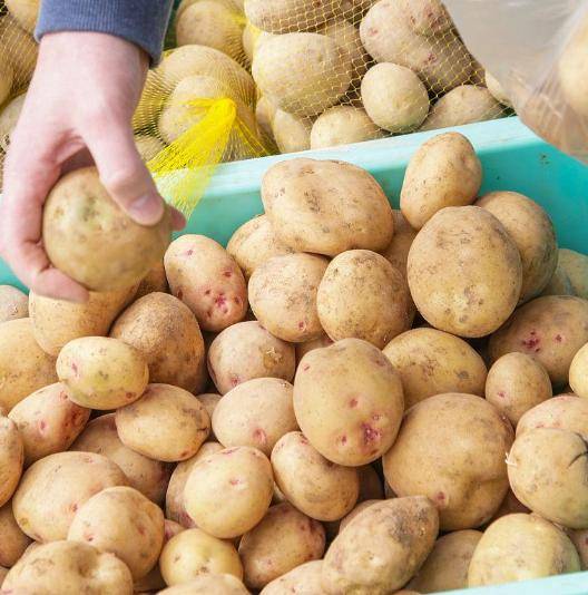 国产在线无码精品无码:广东土豆价格最新行情,国产在线无码精品与广东土豆价格最新行情