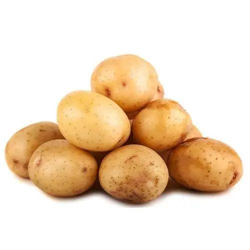 国产在线无码精品无码:广东土豆价格最新行情,国产在线无码精品与广东土豆价格最新行情