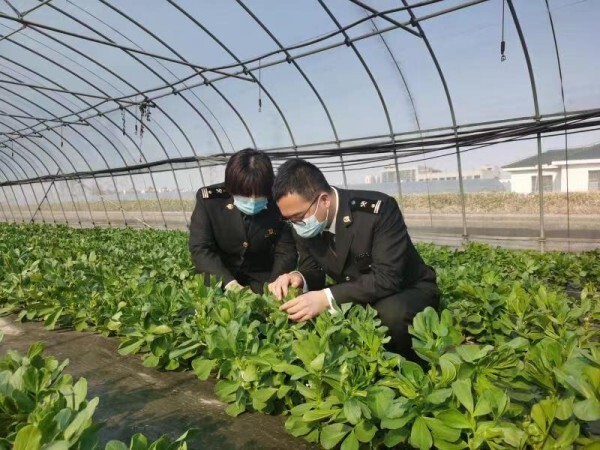 久久精品国产久精国产:洪湖东分块最新消息,洪湖东分块最新消息，久久精品国产久精国产的崛起与发展