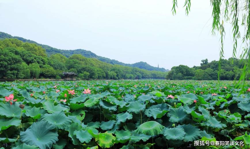 久久精品国产久精国产:洪湖东分块最新消息,洪湖东分块最新消息,久久精品国产久精国产的崛起与发展 久久精品国产久精国产:洪湖东分块最新消息,洪湖东分块最新消息,久久精品国产久精国产的崛起与发展