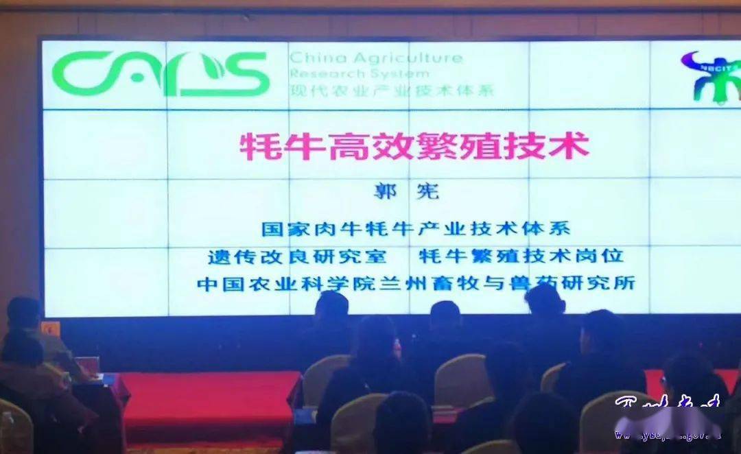 囯产精品一区二区三区线:永春人才网最新招聘信息,国产精品一区二区三区线，永春人才网最新招聘信息详解