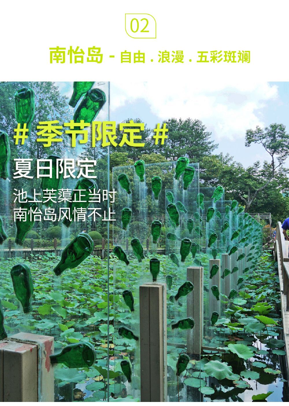 欧美精品V欧洲高清视频在线观看:衡水植物园最新消息,欧美精品与衡水植物园，探索文化与自然的融合最新动态