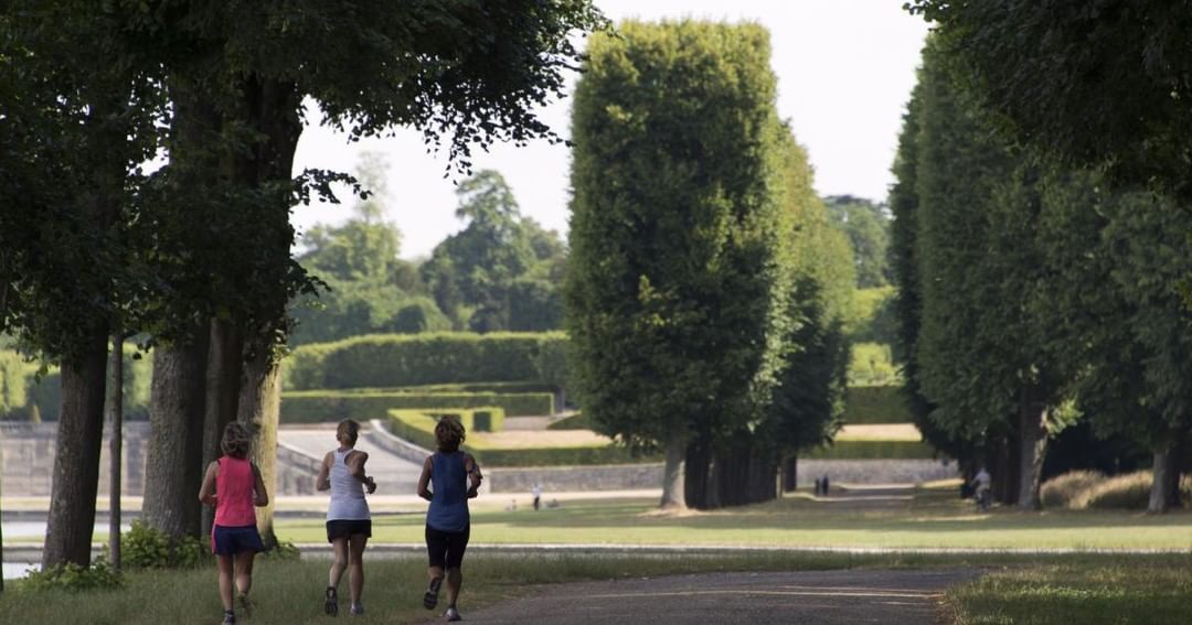 欧美精品V欧洲高清视频在线观看:衡水植物园最新消息,欧美精品与衡水植物园，探索文化与自然的融合最新动态