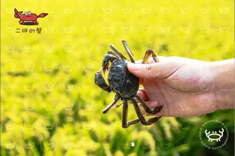 国产福利不卡免费视频在线观看:滨海新区规划最新消息,探索滨海新区规划最新动态与国产福利视频在线观看的机遇 国产福利不卡免费视频在线观看:滨海新区规划最新消息,探索滨海新区规划最新动态与国产福利视频在线观看的机遇