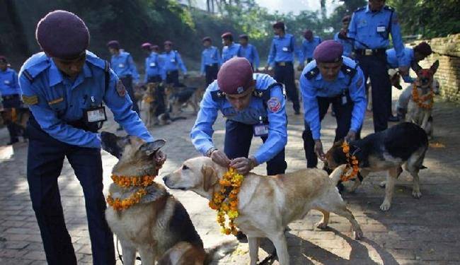 欧美人与动牲交片免费:绥阳县招聘网最新招聘,欧美人与动物交片免费与绥阳县招聘网最新招聘，探索多元文化与职业发展新机遇