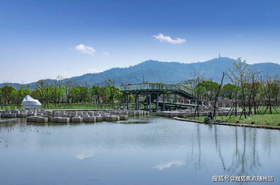 99j久久精品久久久久久:海盐山水六旗最新消息,海盐山水六旗最新消息，探索99j久久精品的旅程