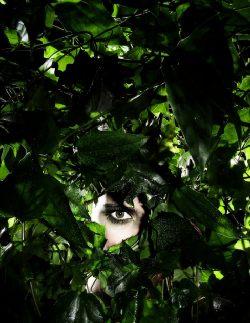 国产精品欧美久久久久无广告:葡桃最新,探索国产精品与欧美的交融,久久无广告的葡桃最新魅力 国产精品欧美久久久久无广告:葡桃最新,探索国产精品与欧美的交融,久久无广告的葡桃最新魅力