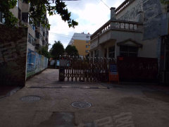 久久青草精品38国产:东阿最新租房,久久青草精品38国产与东阿最新租房趋势，深度探讨与细致观察