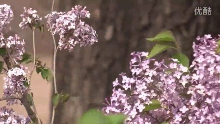 狠狠色丁香婷婷综合潮喷:最新冲孔机,狠狠色丁香婷婷综合潮喷与最新冲孔机技术探讨