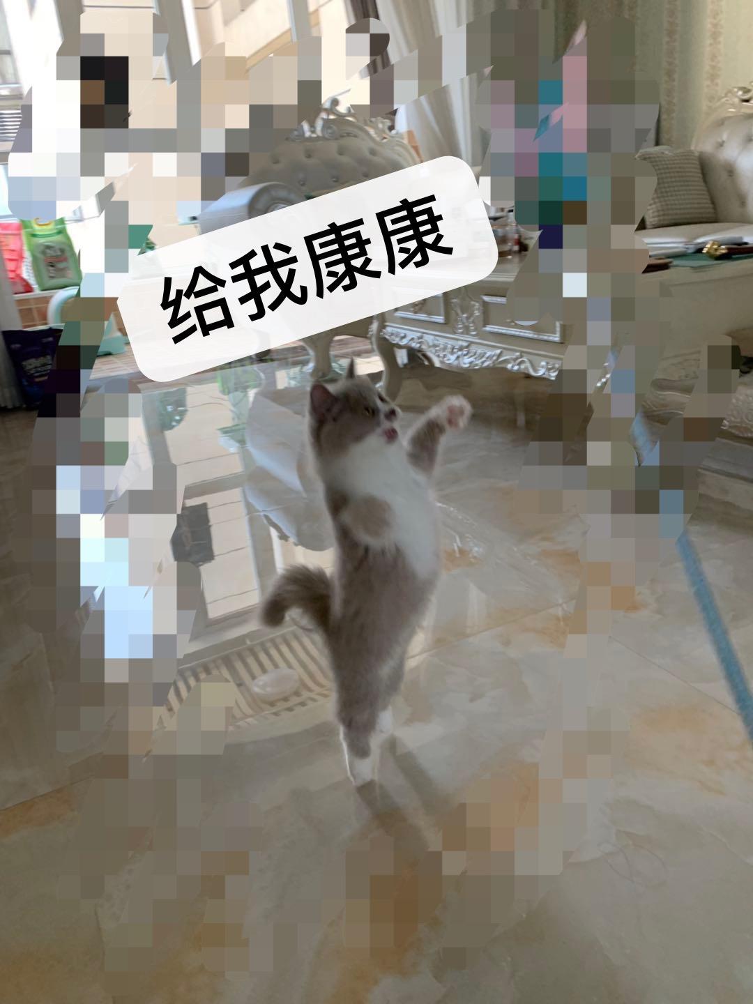 狠狠色丁香婷婷综合潮喷:最新冲孔机,狠狠色丁香婷婷综合潮喷与最新冲孔机技术探讨