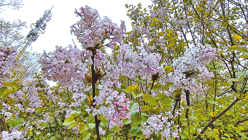 狠狠色丁香婷婷综合潮喷:最新冲孔机,狠狠色丁香婷婷综合潮喷与最新冲孔机技术探讨