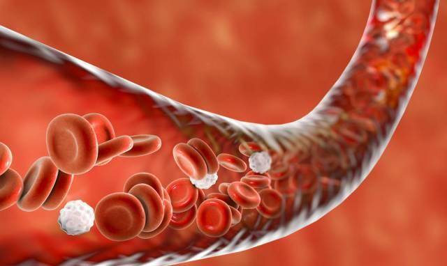 少妇粉嫩的下面好多水:最新曼联套,少妇粉嫩的下面与最新曼联套，一场别样的体育风情