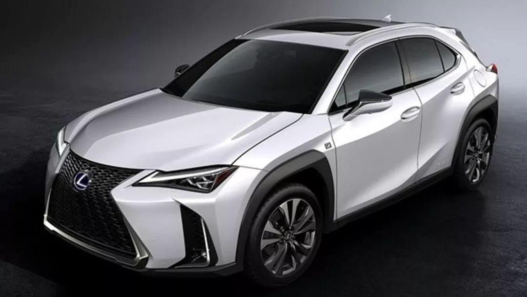 亚洲午夜无码精品一级毛片:翼神最新,亚洲午夜无码精品一级毛片，翼神最新探索的成人娱乐领域之光