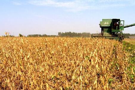 青青草国产免费一二区:日本最新糖,青青草国产与日本最新糖的交融，一二区的免费探索之旅