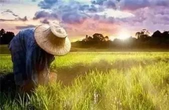 青青草国产免费一二区:日本最新糖,青青草国产与日本最新糖的交融,一二区的免费探索之旅 青青草国产免费一二区:日本最新糖,青青草国产与日本最新糖的交融,一二区的免费探索之旅