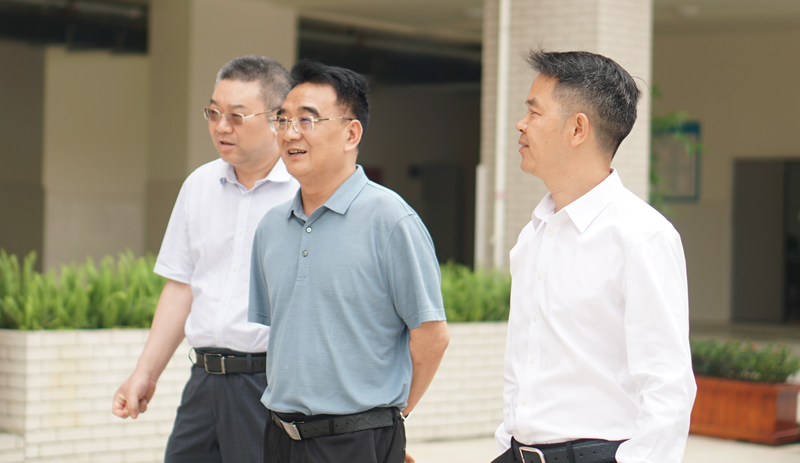 亚洲综合欧美在线一区在线播放:最新流产指南,亚洲综合欧美在线一区在线播放，最新流产指南