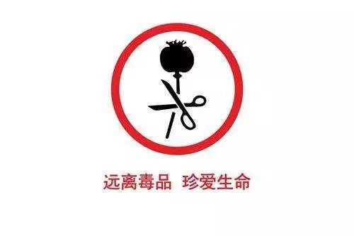 精品无码久久久久久久久久:鸡大力最新,探索精品无码鸡大力，最新趋势与深度洞察