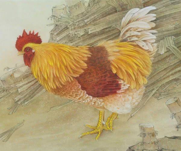 精品无码久久久久久久久久:鸡大力最新,探索精品无码鸡大力，最新趋势与深度洞察