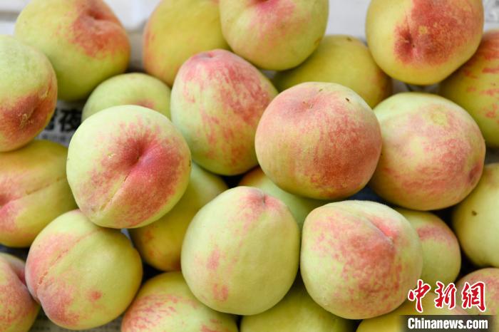 久久精品水蜜桃AV综合天堂:最新印尼新闻,久久精品水蜜桃AV综合天堂，最新印尼新闻深度解析