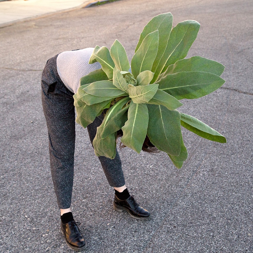 国产真实露脸乱子伦:最新党的纲领,国产真实露脸乱子伦，最新党的纲领下的社会进步与道德建设