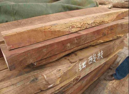 青春草无码精品视频在线观看:交趾黄檀最新行情,青春草与交趾黄檀，探索视频内容与木材市场的最新行情