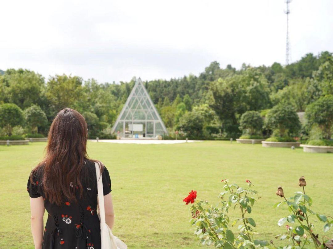 野外亲子乱子伦视频丶:最新的拆分盘,野外亲子乱子伦视频与最新的拆分盘，探索家庭关系的边界与挑战