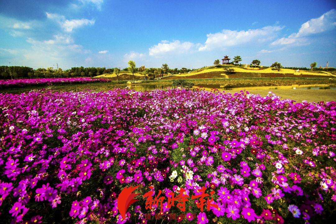 野外亲子乱子伦视频丶:最新的拆分盘,野外亲子乱子伦视频与最新的拆分盘,探索家庭关系的边界与挑战 野外亲子乱子伦视频丶:最新的拆分盘,野外亲子乱子伦视频与最新的拆分盘,探索家庭关系的边界与挑战