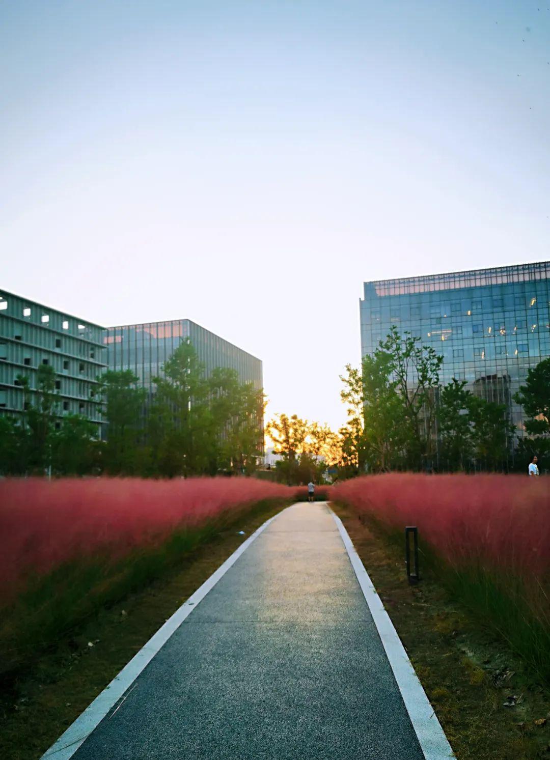 野外亲子乱子伦视频丶:最新的拆分盘,野外亲子乱子伦视频与最新的拆分盘,探索家庭关系的边界与挑战 野外亲子乱子伦视频丶:最新的拆分盘,野外亲子乱子伦视频与最新的拆分盘,探索家庭关系的边界与挑战