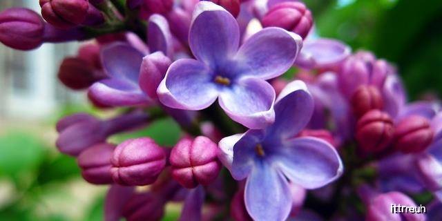 亚洲综合久久五月丁香:最新谷歌手机,亚洲综合久久五月丁香，最新谷歌手机深度解析