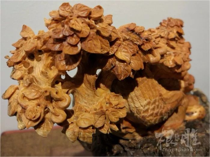 无码精品日韩专区:崖柏最新行情,无码精品日韩专区与崖柏最新行情，深度探讨与综合研究