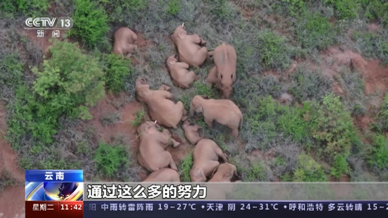 伊人久久久大香线蕉综合直播:最新策略游戏,关于伊人久久久大香线蕉综合直播的最新策略游戏探讨