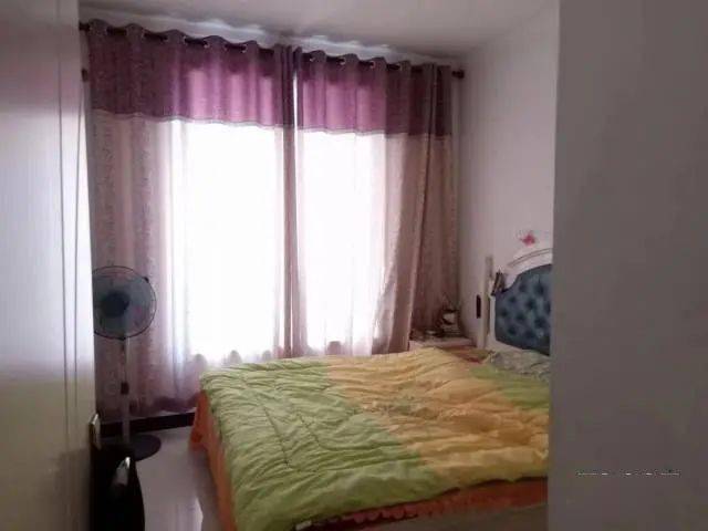 国产成人精品免费视频大全五级:藁城最新租房信息,国产成人精品免费视频大全五级与藁城最新租房信息综合探讨