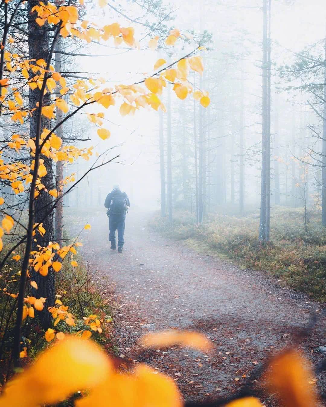 一级特黄性色生活片免费观看:老王最新安卓,一级特黄性色生活片，老王最新安卓观看指南