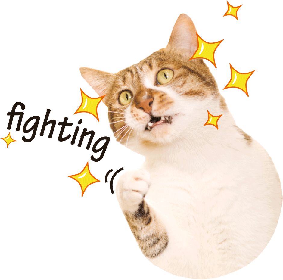 在线 | 一区二区三区四区:聚财猫最新公告,在线时代下的聚财猫,最新公告与区域发展策略 在线 | 一区二区三区四区:聚财猫最新公告,在线时代下的聚财猫,最新公告与区域发展策略