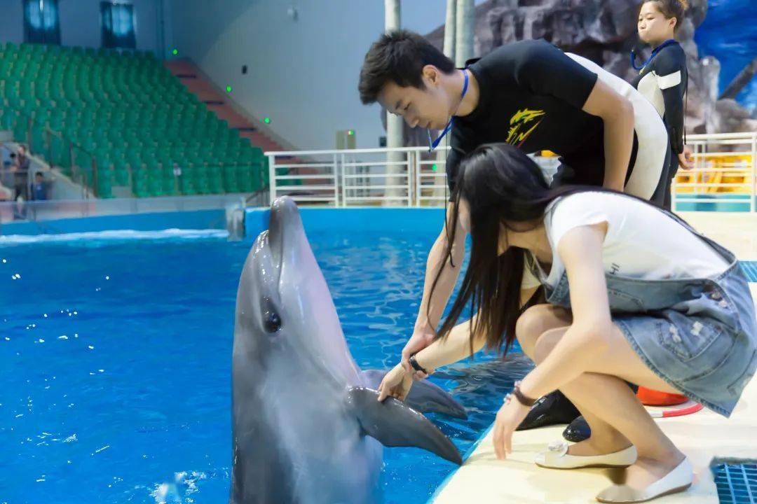 国产精品福利自产拍在线观看:海豚最新版,国产精品福利自产在线观看，海豚最新版的探索与体验