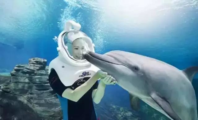 国产精品福利自产拍在线观看:海豚最新版,国产精品福利自产在线观看，海豚最新版的探索与体验