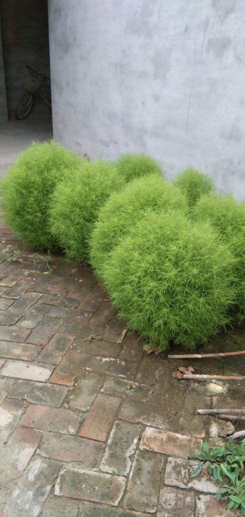 国产精品嫩草影院入口一二三:榆林最新人事,国产精品嫩草影院入口一二三，榆林最新人事动态与影视文化发展观察