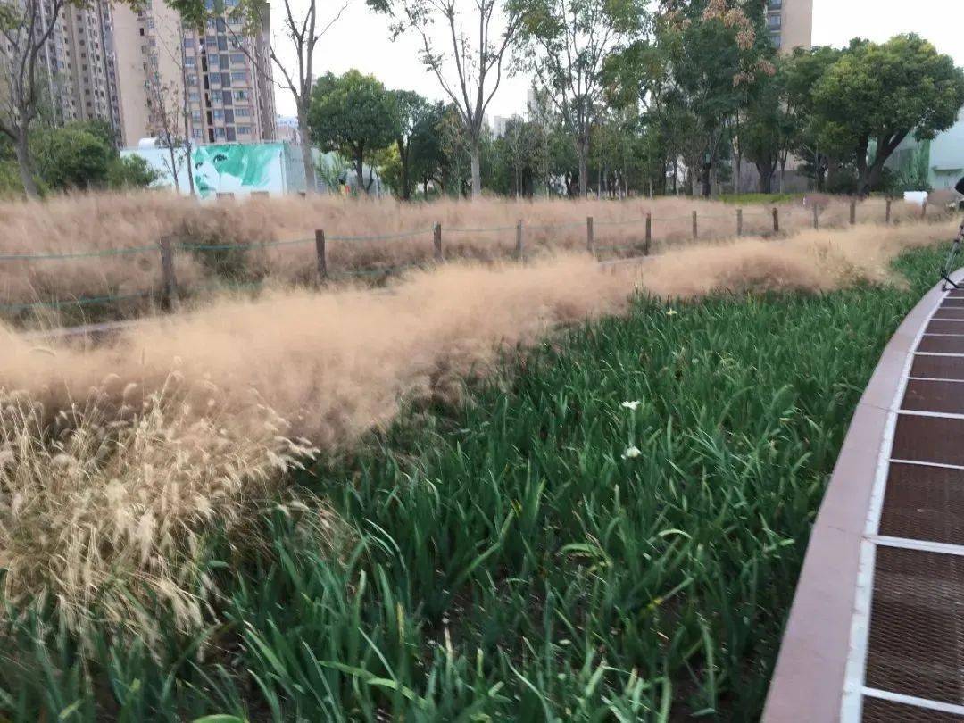 国产精品嫩草影院入口一二三:榆林最新人事,国产精品嫩草影院入口一二三,榆林最新人事动态与影视文化发展观察 国产精品嫩草影院入口一二三:榆林最新人事,国产精品嫩草影院入口一二三,榆林最新人事动态与影视文化发展观察