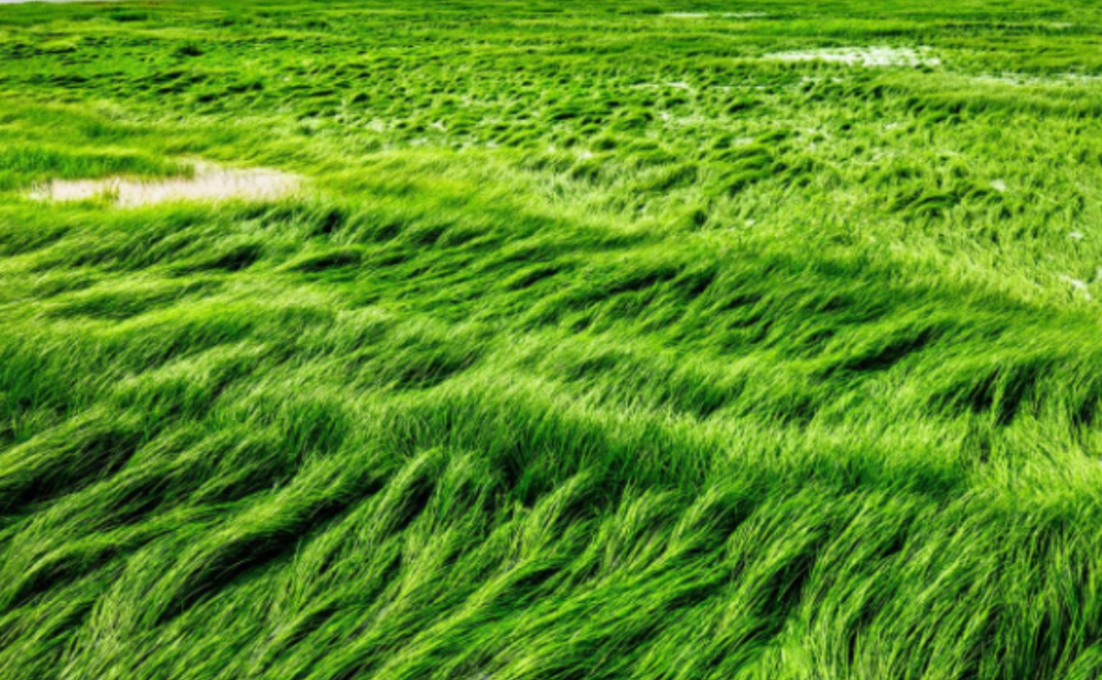 国产精品嫩草影院入口一二三:榆林最新人事,国产精品嫩草影院入口一二三,榆林最新人事动态与影视文化发展观察 国产精品嫩草影院入口一二三:榆林最新人事,国产精品嫩草影院入口一二三,榆林最新人事动态与影视文化发展观察