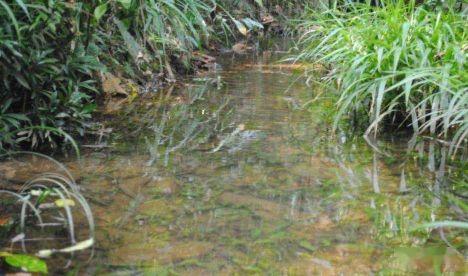 国产精品青草久久久久福利99:最新传销名单,国产精品青草久久久久福利与最新传销名单揭秘