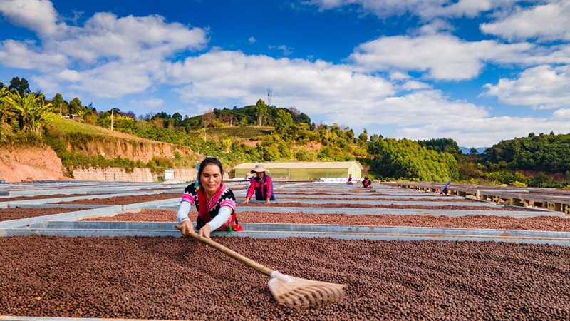 国产精品青草久久久久福利99:最新传销名单,国产精品青草久久久久福利与最新传销名单揭秘