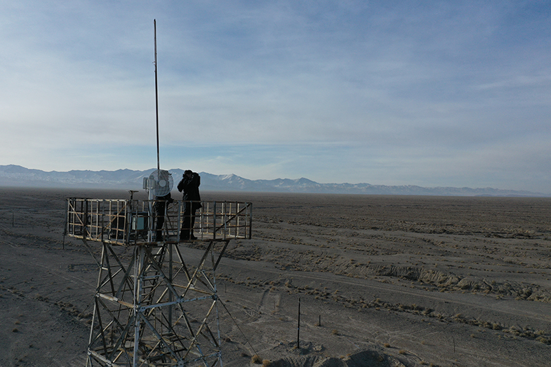 国精产品无人区一码二码三蘑菇:琛航岛最新图片,探索国精产品无人区——琛航岛的神秘蘑菇与最新图片揭秘