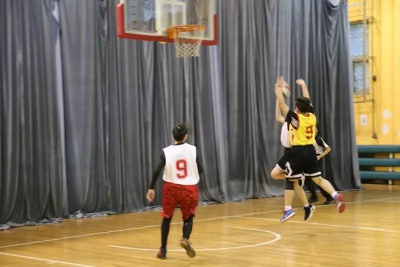 白袜篮球体育生飞机Gay视频:西和在线招聘最新,探索现代体育与招聘的新领域，白袜篮球体育生与在线招聘的最新趋势