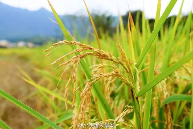 亚洲欧美日韩精品久久:闽侯甘蔗最新招聘,闽侯甘蔗最新招聘，亚洲欧美日韩精品久久的人才盛宴