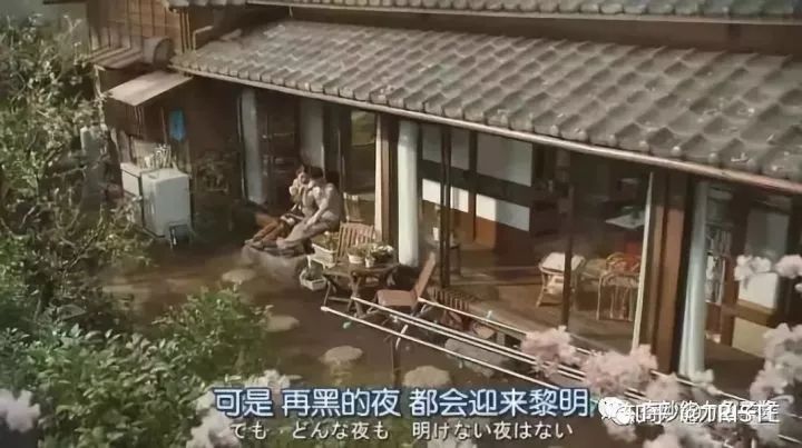 四虎WWW成人影院观看:休闲木屋最新版,四虎WWW成人影院观看与休闲木屋最新体验